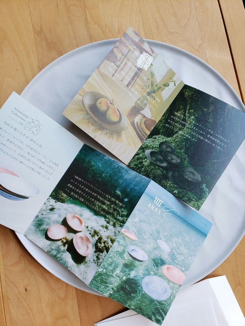 エイラス ARAS 大皿ウェーブ ホワイト　27㎝　2枚セット