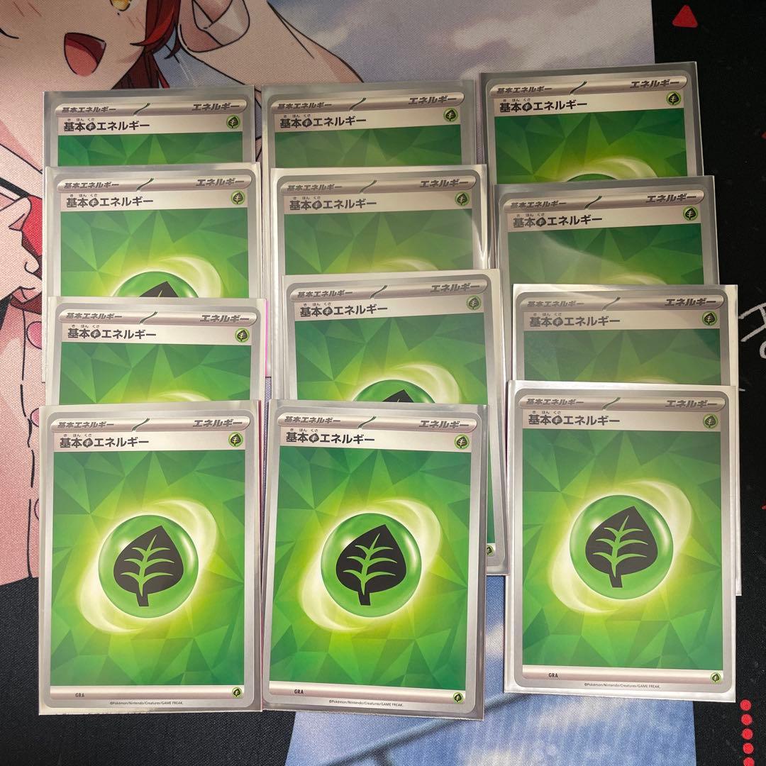 レ*屋様 メガメガニウムex メガフシギバナexデッキ　構築済みデッキ